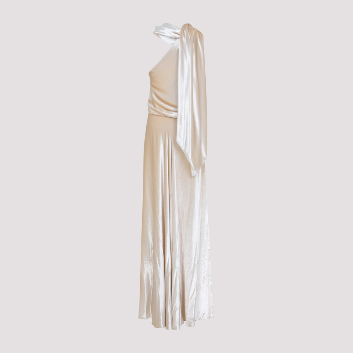 Alberta Ferretti Velvet Long Dress Women