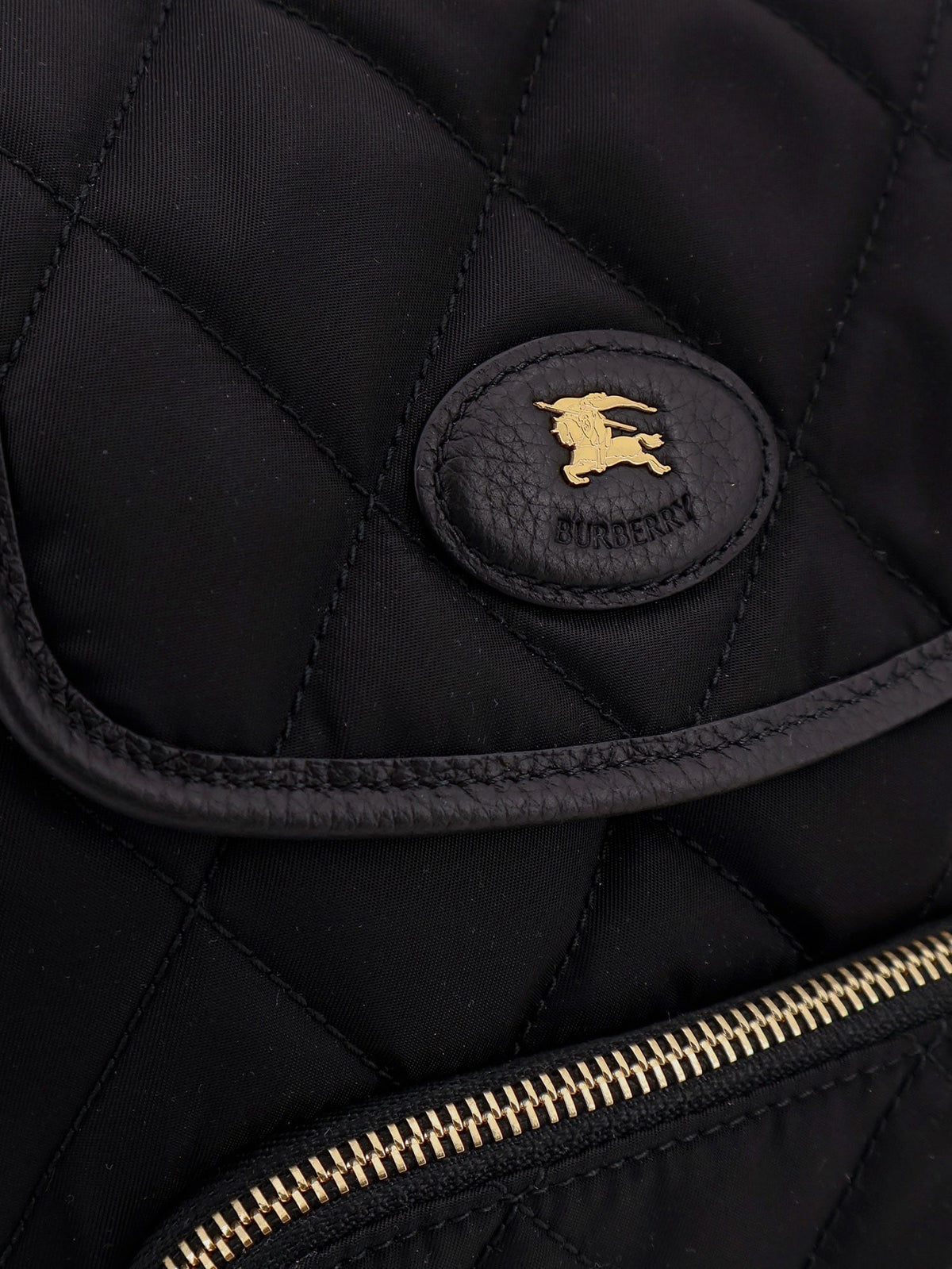 Burberry Women Nylon Backpack With Leather Logo Patch