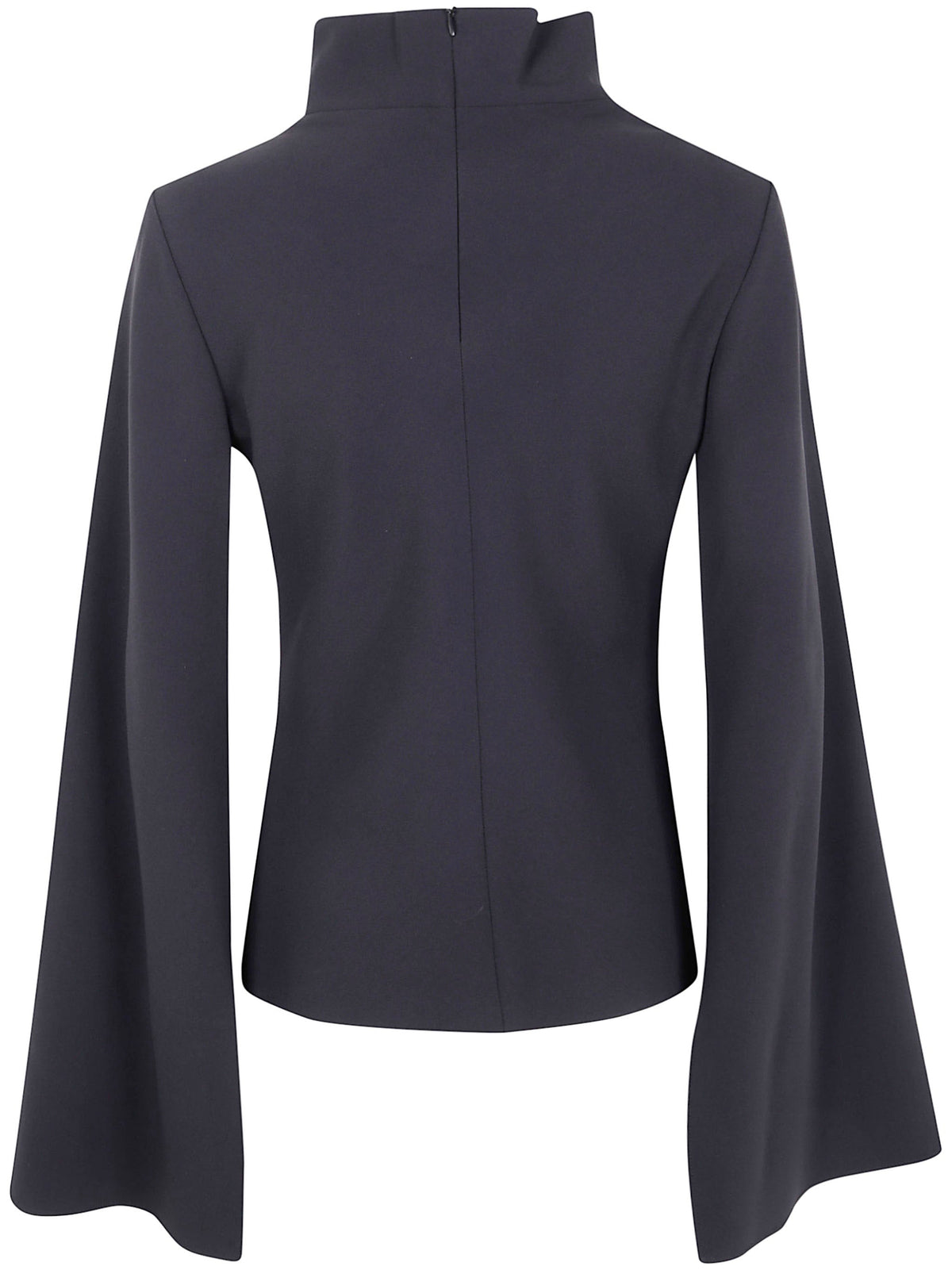 Alberta Ferretti Women Turtle Neck Blouse