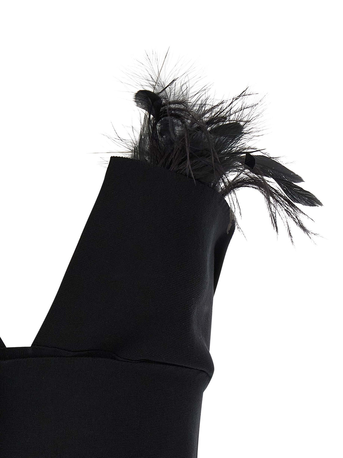 Alberta Ferretti Women Feather Top